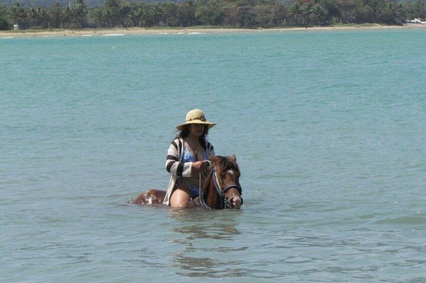 Beach Horseback Ride Tour in Puerto Plata - Scenic & Fun for All 3