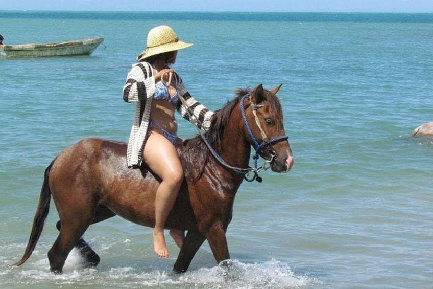 Beach Horseback Ride Tour in Puerto Plata - Scenic & Fun for All 4