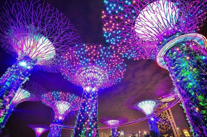 garden-rhapsody-supertree-grove-singapore-light-show 3