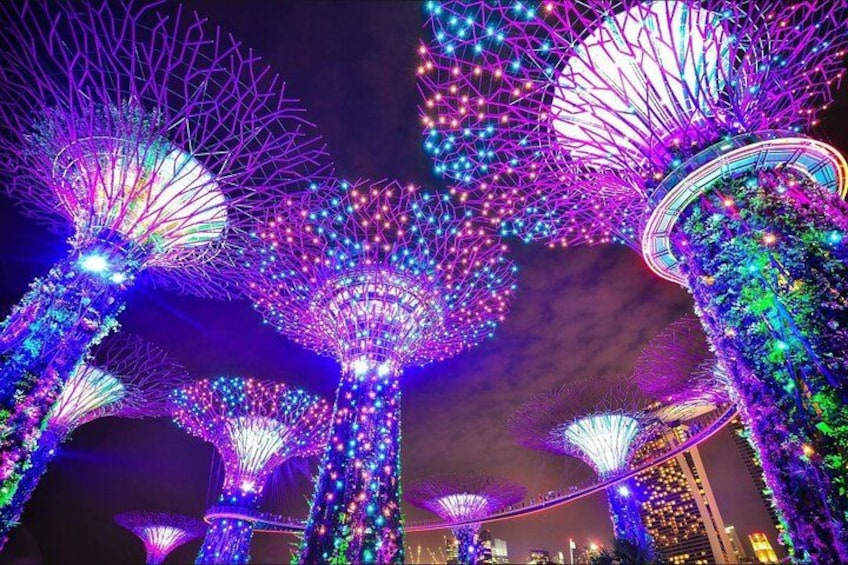 garden-rhapsody-supertree-grove-singapore-light-show 4