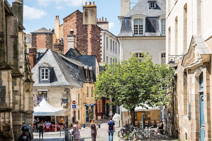 A narrow street with historic buildings, a tree-lined path, and bicycles parked along the side. 4