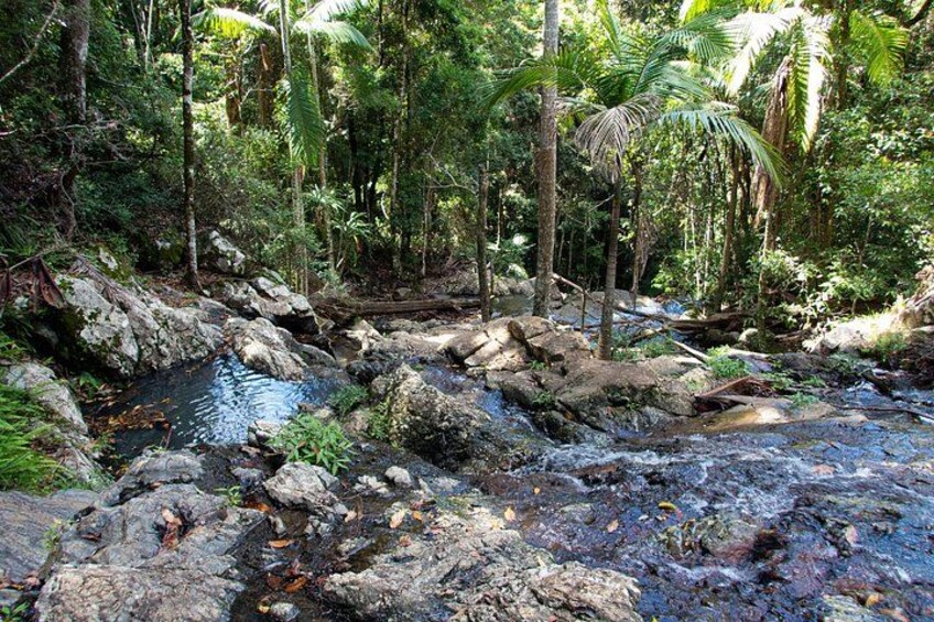 Green Falls 2