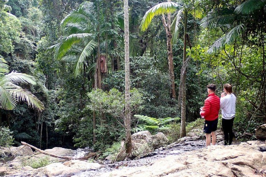 Green Falls 1