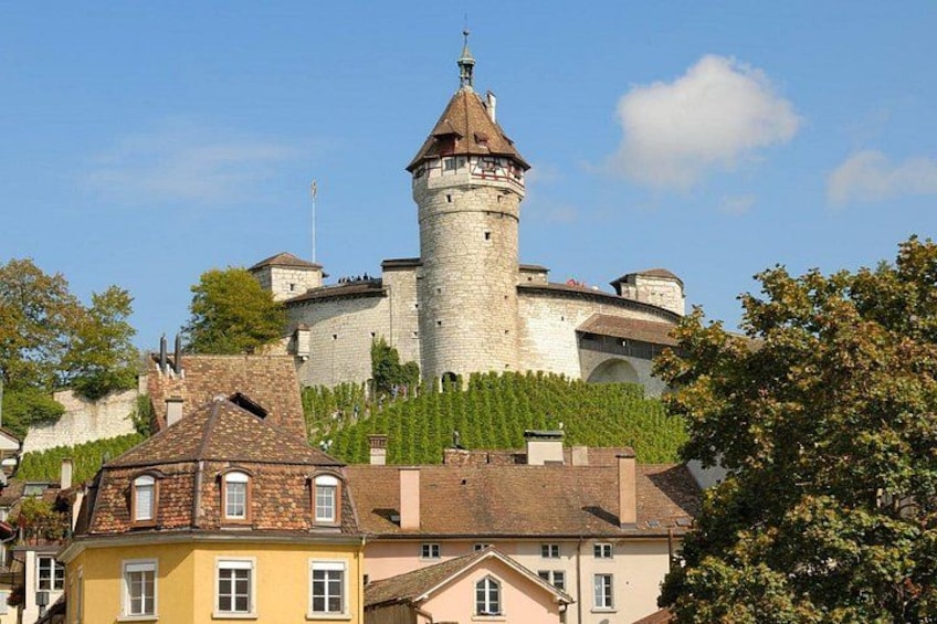 A historic castle with a prominent tower, surrounded by residential buildings and vineyards. 3