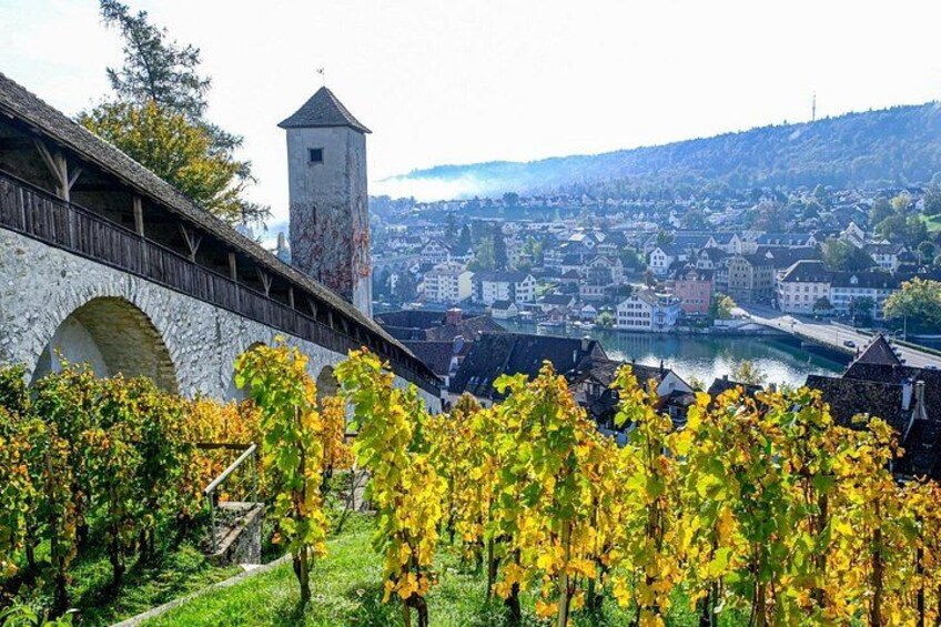 A stone bridge, a tower, and a vineyard with yellow leaves. 4