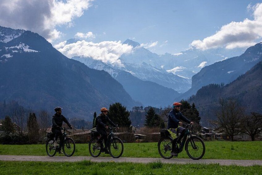 Scenic E Bike Tour Interlaken 4