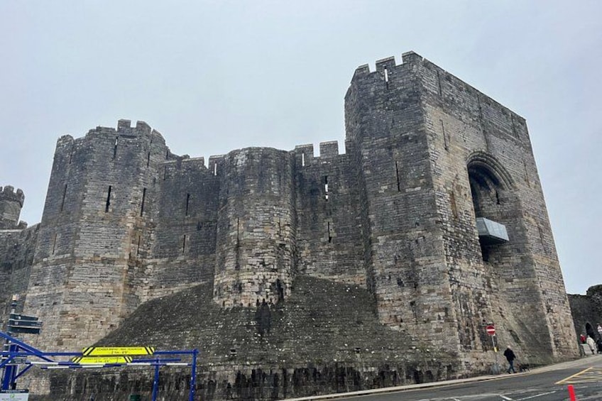 Un grande castello di pietra con numerose torri e un fossato. 4