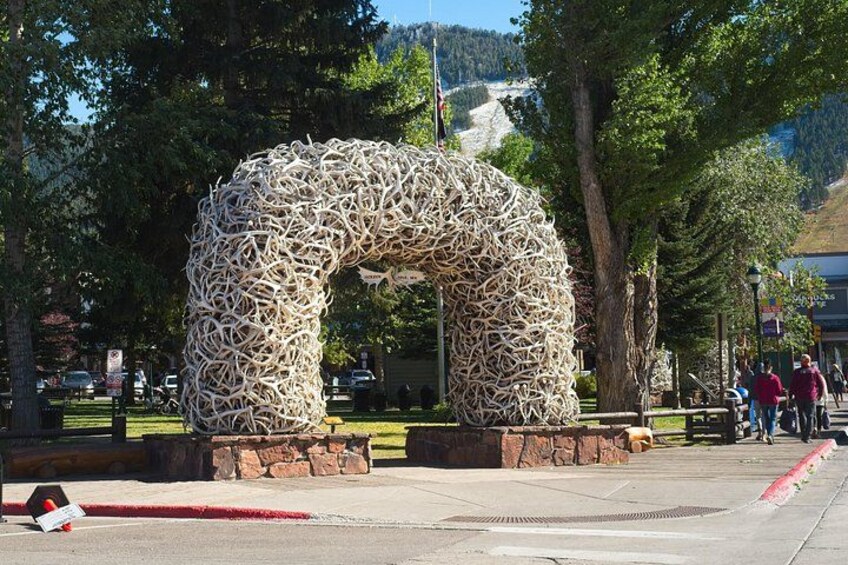 Elk Antler Gate 1