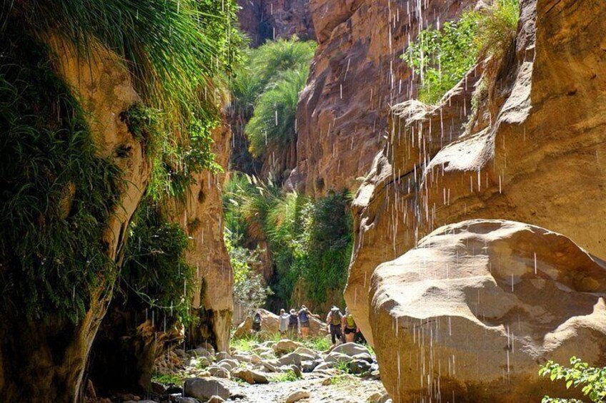 Dana to Petra Hike Jordan Trail 3