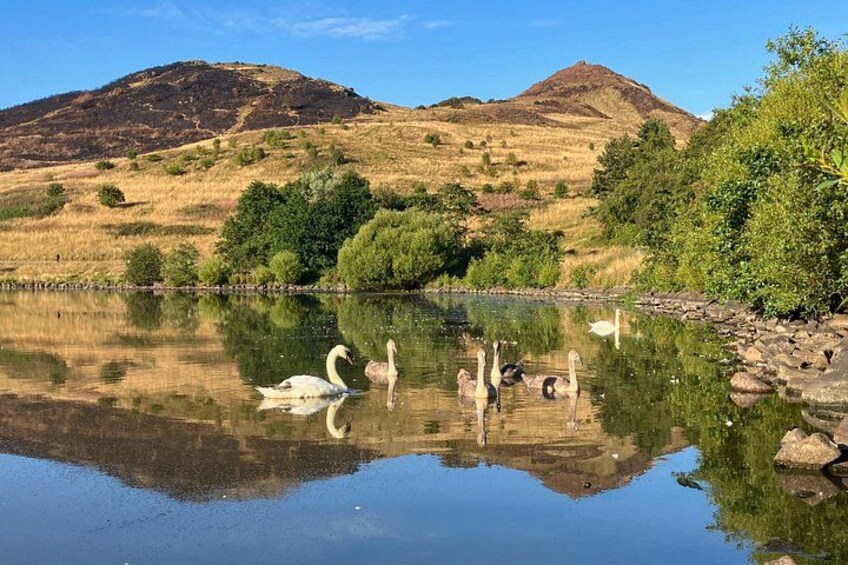 Hike Arthur's Seat & Calton Hill 3
