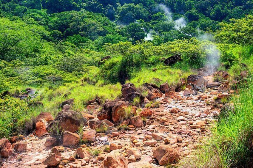 3-in-1 Rincon de la Vieja National Park Nature Day Tour