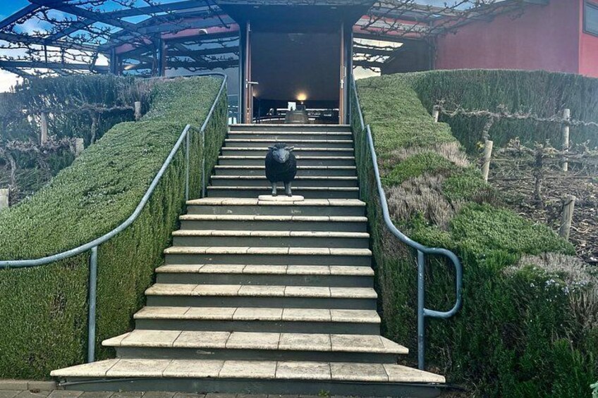 McLaren Vale Private Group Tour 4
