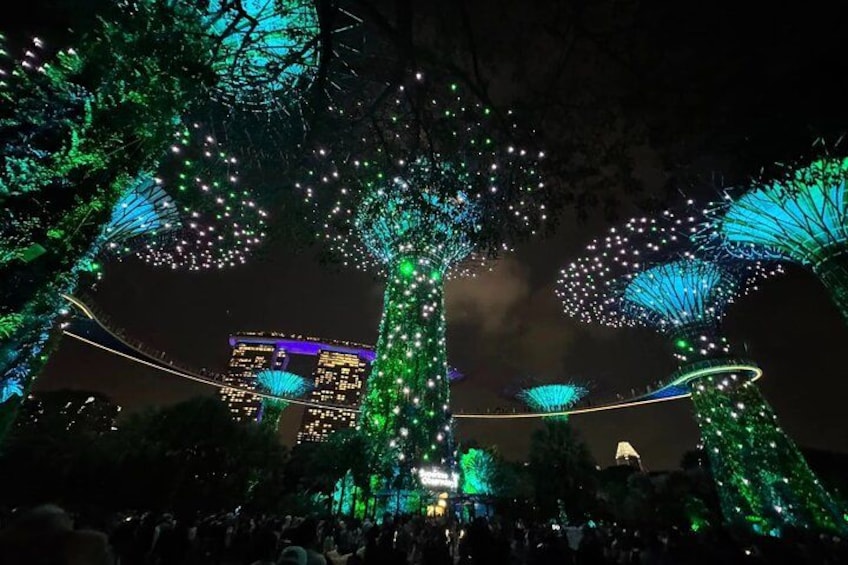 Illuminated trees and a cityscape at night. 4