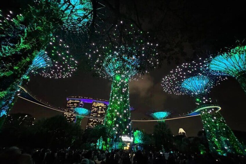 Singapore Guided Night Tour with 2 Light Shows & River Cruise 4