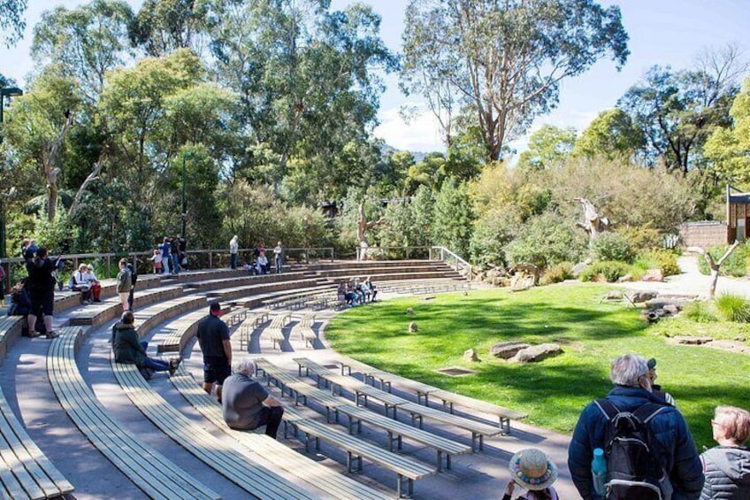 Yarra Valley Redwoods Tour with Winery Lunch or Wildlife Option 4