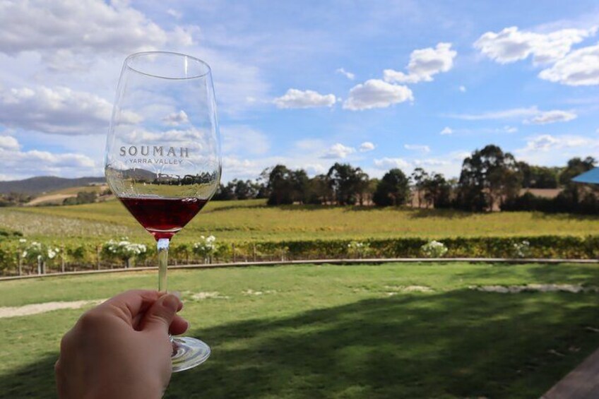 Premium wine tasting at Soumah Wines with vineyard views 5