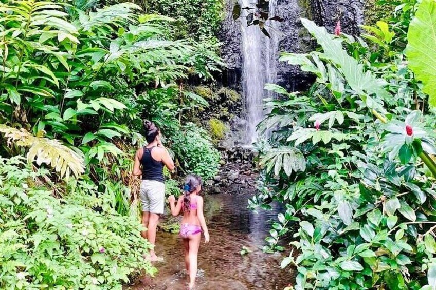 Une cascade, une végétation luxuriante et deux personnes debout près d’un ruisseau. 3