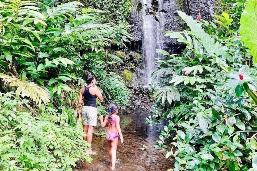 Une cascade, une végétation luxuriante et deux personnes debout près de l’eau. 4