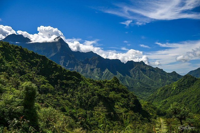 Un paysage montagneux caractérisé par une végétation luxuriante et un ciel bleu dégagé. 2