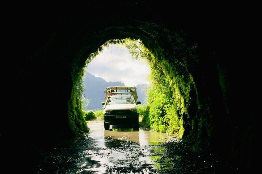 Un véhicule circule dans un tunnel bordé de verdure. 4