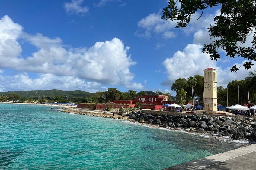 Frederiksted St Croix Sea Turtle Snorkeling Tour 5