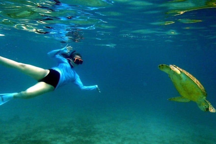 A person snorkeling underwater with a sea turtle nearby. 4
