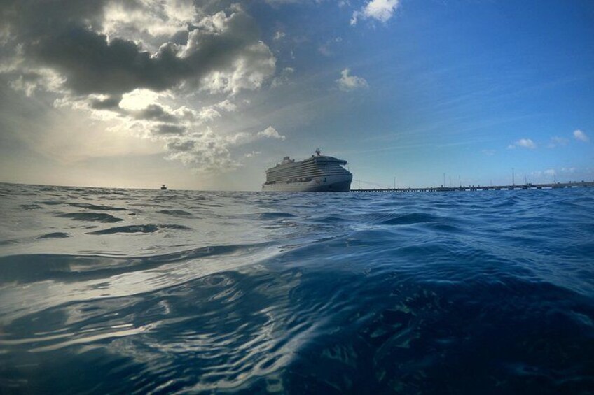 Frederiksted St Croix Sea Turtle Snorkeling Tour 3