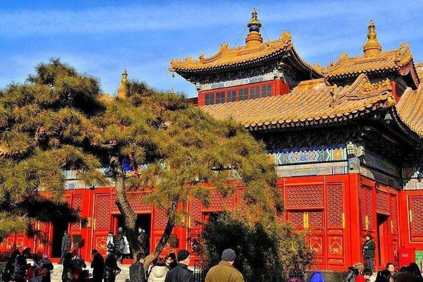 L’architecture traditionnelle chinoise se caractérise par ses murs rouges et ses toits dorés, le tout étant entouré d’arbres. 5