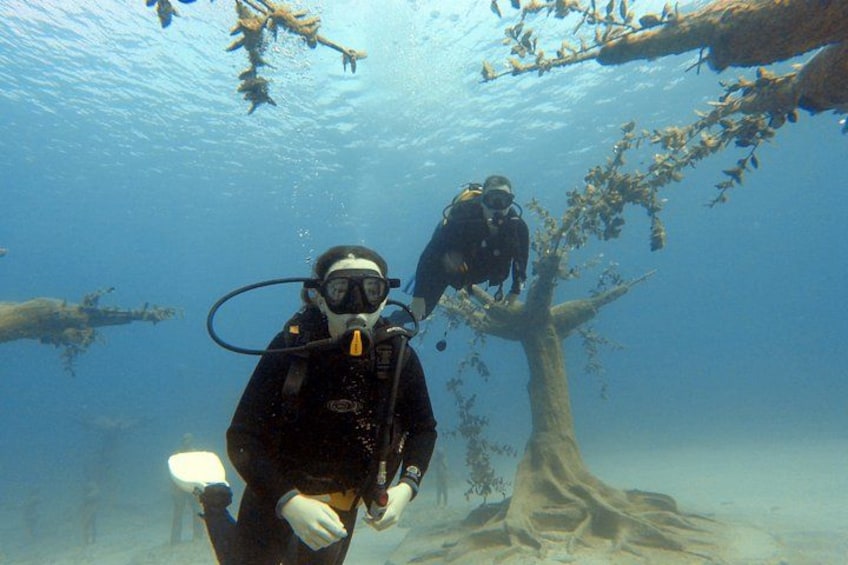 A diver underwater near a tree-like structure with branches and roots. 1