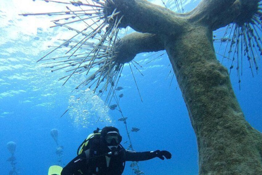 Ayia Napa : Beginner Scuba Dive at MUSAN - Underwater Museum 5