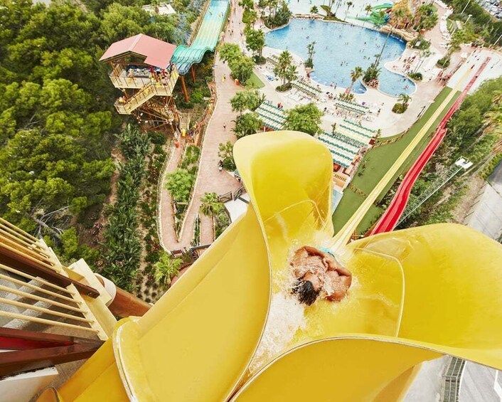 Un toboggan aquatique avec une personne au point d’arrivée, entourée d’une zone de piscine et d’arbres. 1