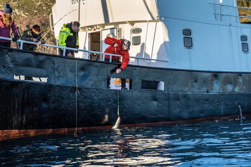 Fishing Trip in Alesund 2