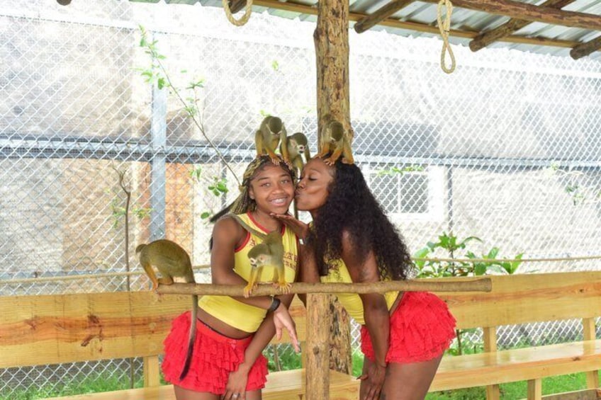Half Day Puerto Plata City Tour and Monkey Park Visit 2