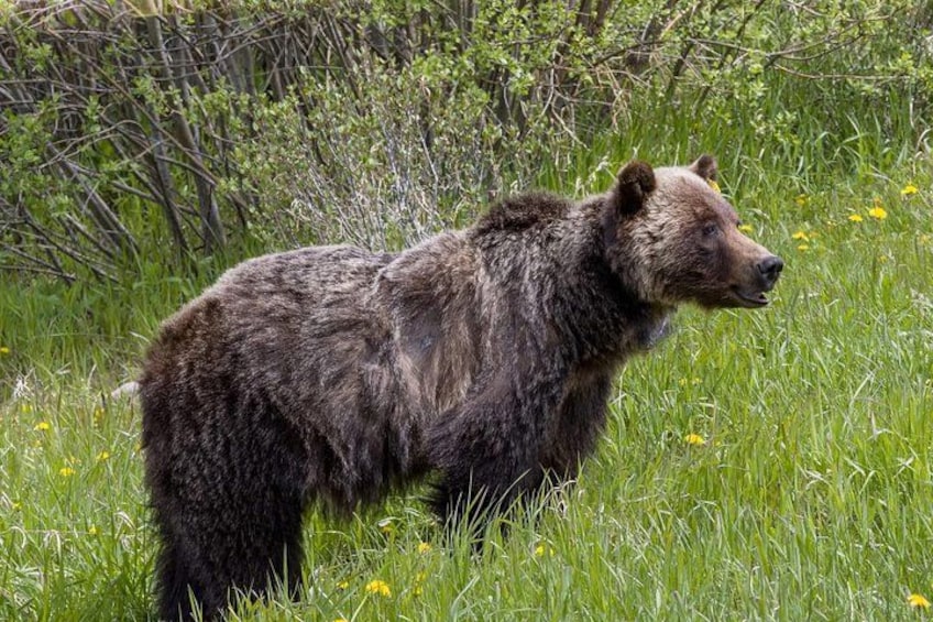 Banff Three Iconic Lakes and Johnston Canyon Day Tour 2
