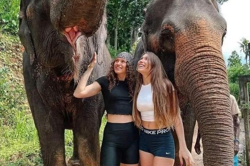 Two elephants, a person in a black top, and another in a white top. 1