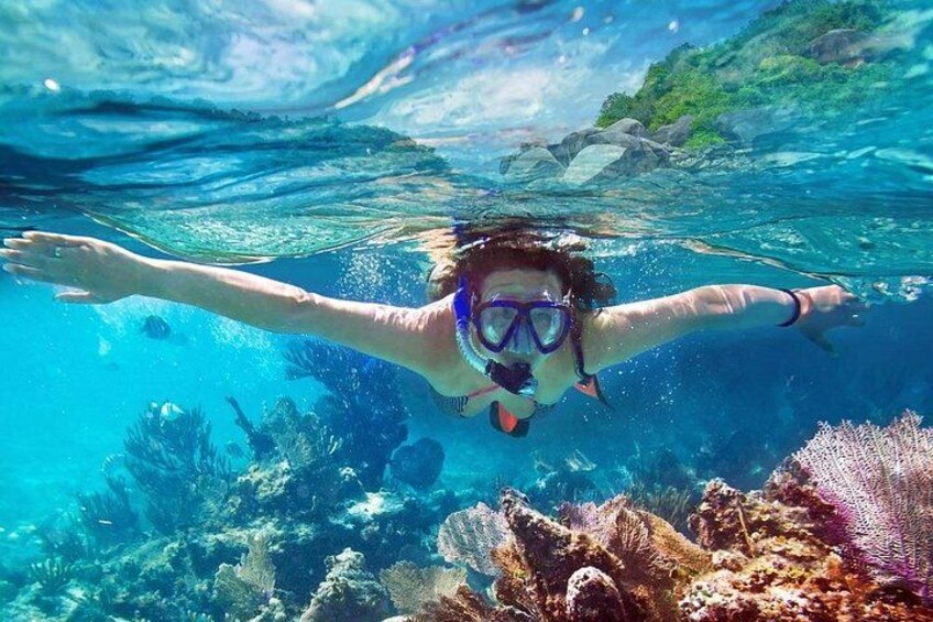 A person snorkeling underwater with coral reefs and rocks in the background. 4