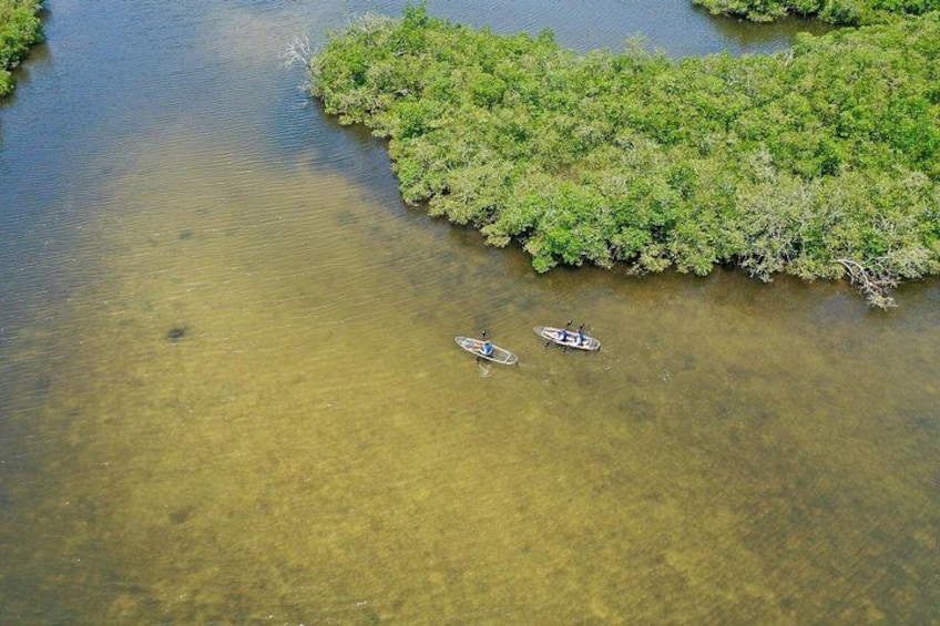 A river with two boats and a dense green island. 4
