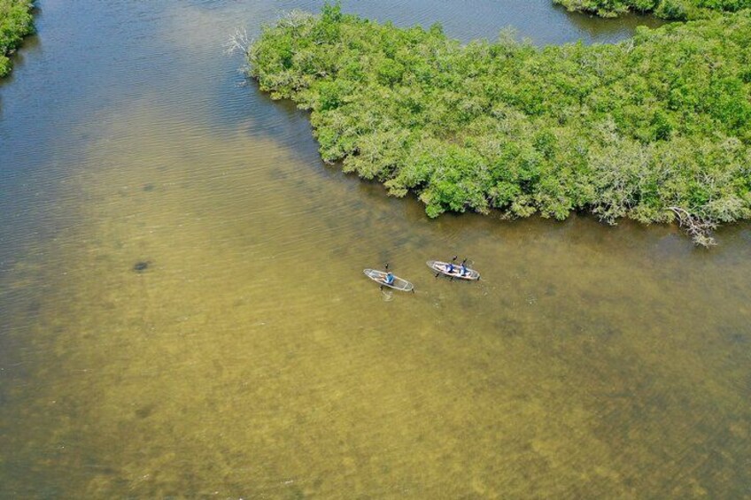 See the beautiful Anclote River 4