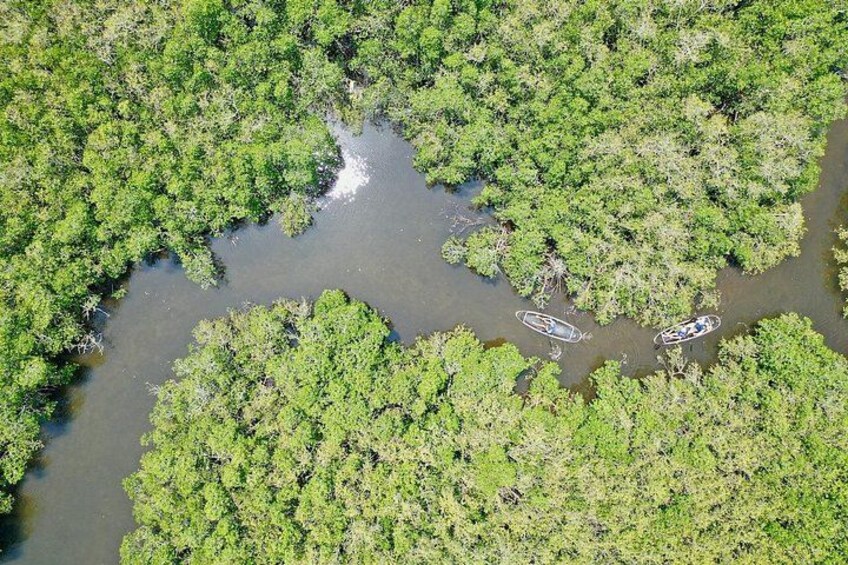 Vista aérea de un río rodeado de vegetación verde exuberante, con dos embarcaciones. 3