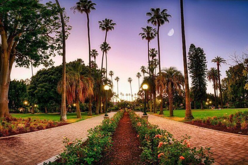 Beverly Hills, Celebrity Houses, Filming Locations on Bike Tour 2