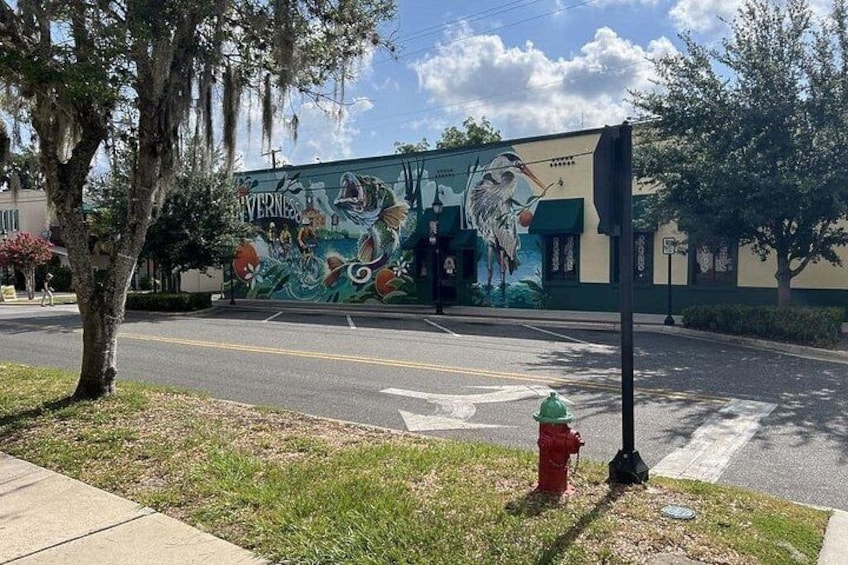 A mural on a building, a red fire hydrant, and a crosswalk. 5