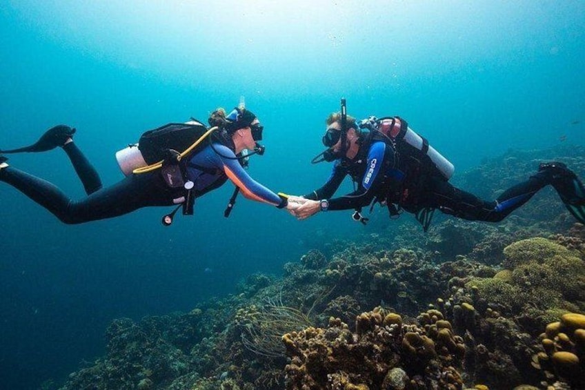 Try Scuba Diving in Budva: Boat Experience & Underwater Tunnels 4