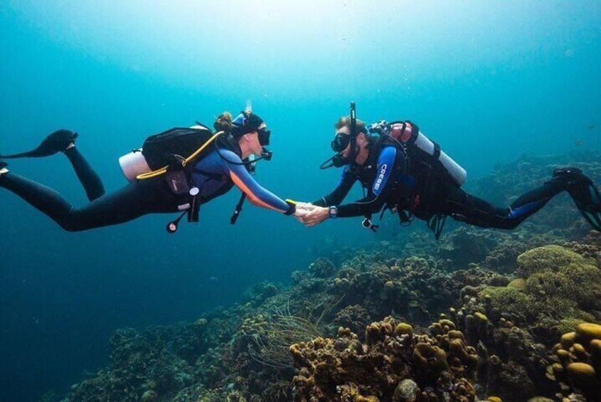 Budva Diving - Beginner Scuba Diving Expirience 1