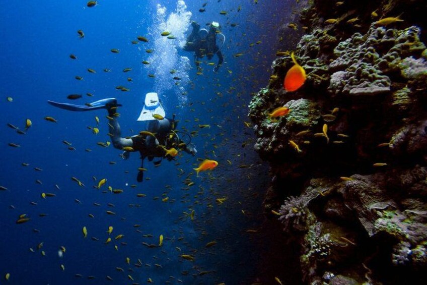 Try Scuba Diving in Budva: Boat Experience & Underwater Tunnels 1