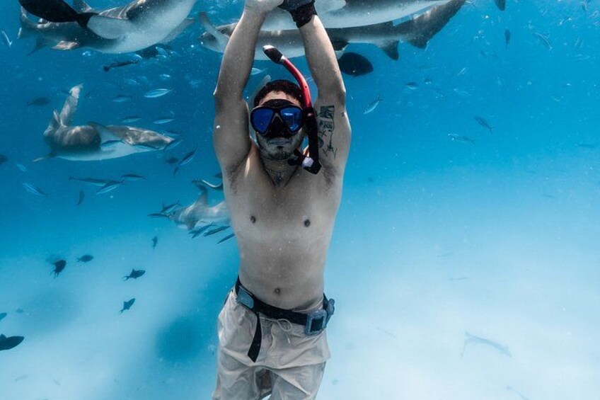 Puerto Rico Half-Day Shark Diving 4