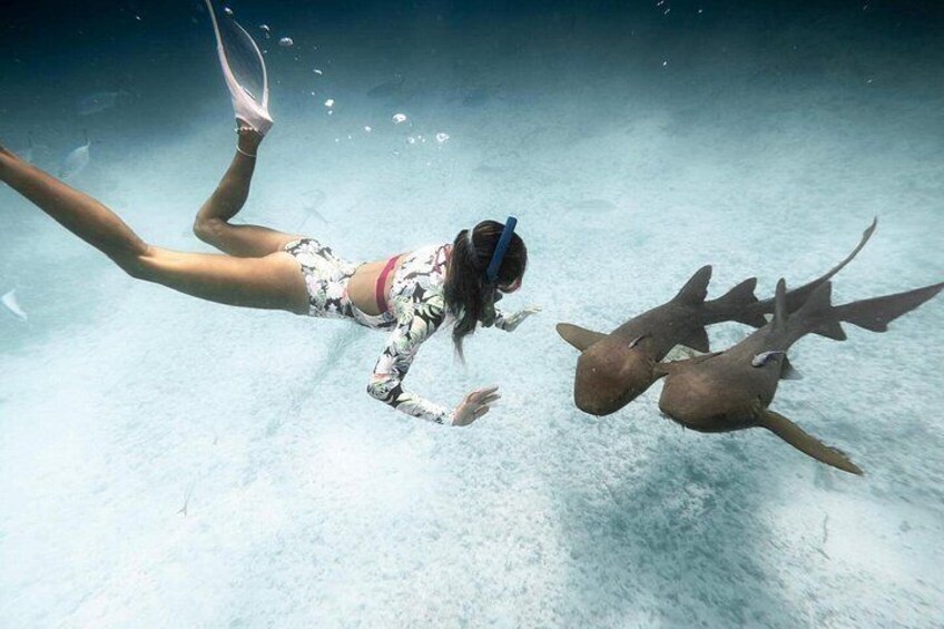 A person scuba diving underwater with sharks. 2