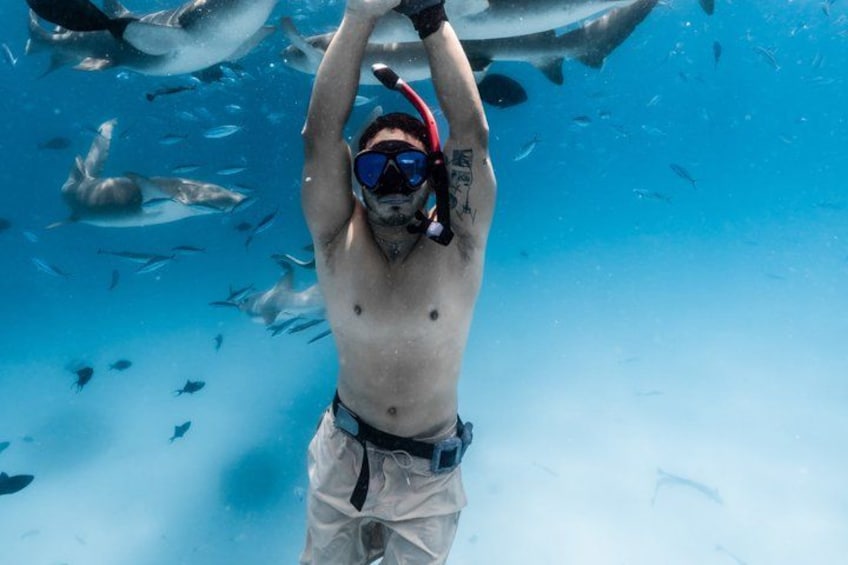Puerto Rico Half-Day Shark Diving 2