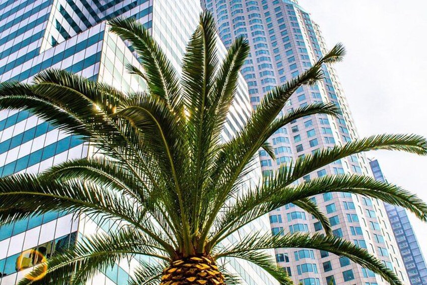 Los Angeles Food Tour - Ethnic Food, Bakeries and Local History 2