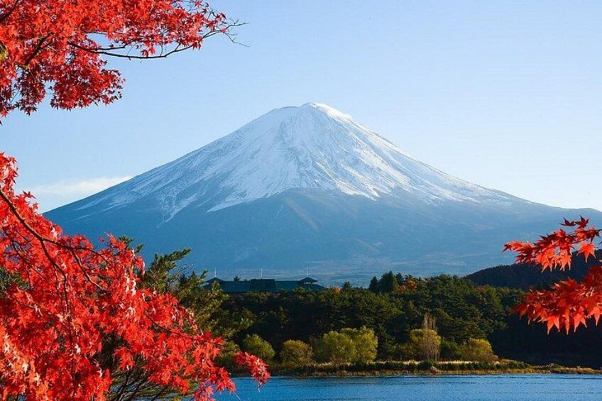 From Tokyo: Mount Fuji Sightseeing Full Day Trip 2