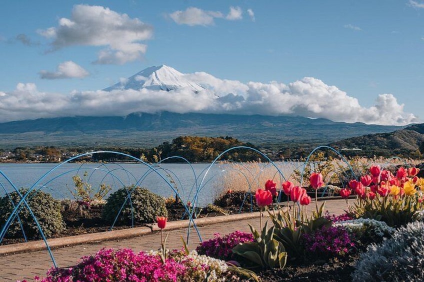 From Tokyo: Mount Fuji Sightseeing Full Day Trip 3